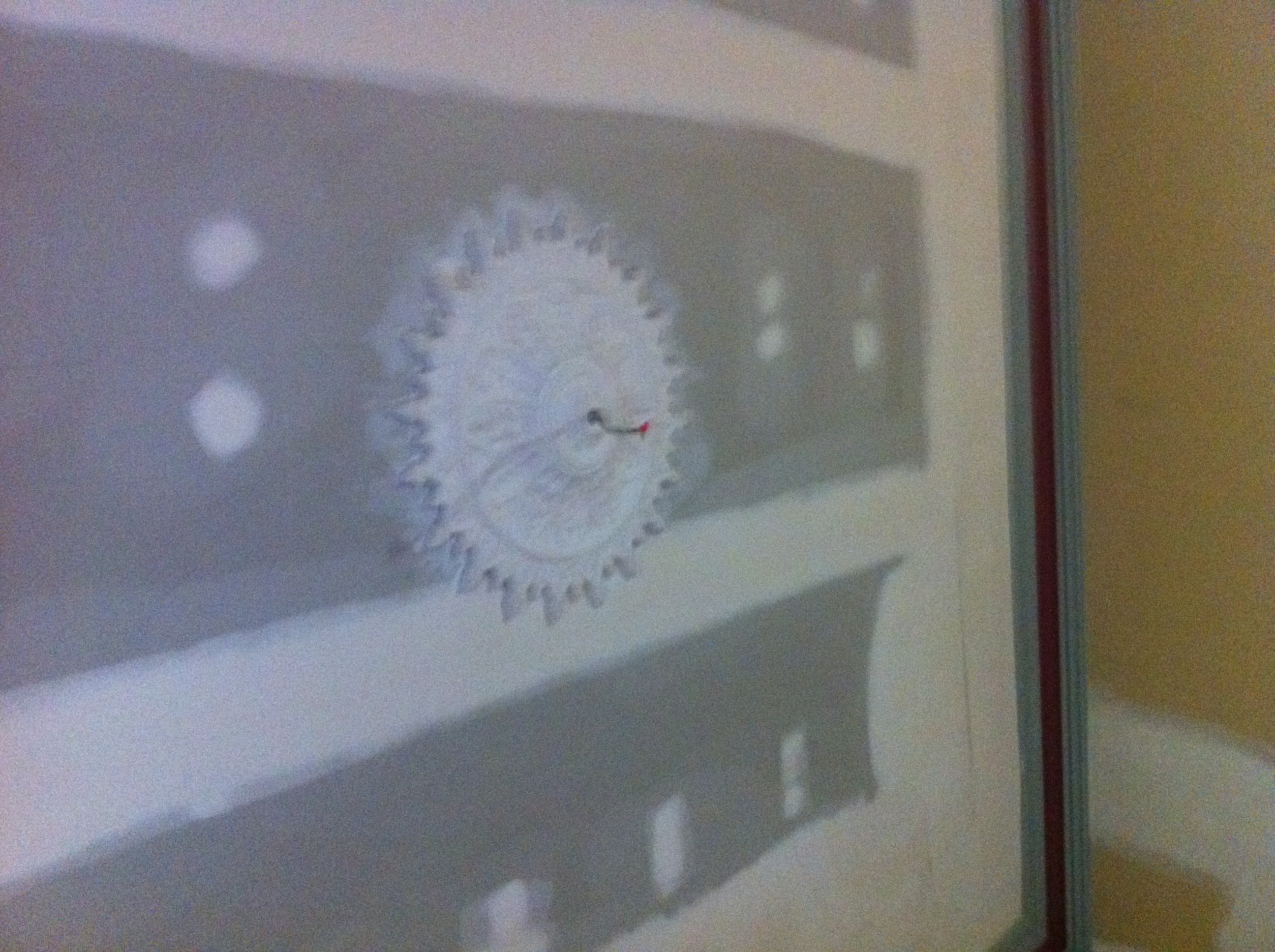 Decorative ceiling plaster